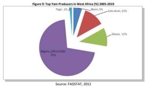 Ghana Nigeria Yam export in Africa 