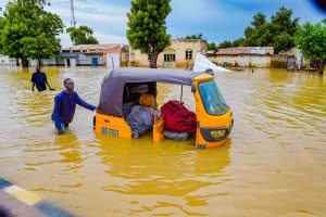 Maiduguri flood 