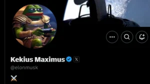 Elon musk name