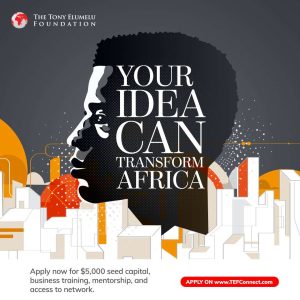 Tony elumelu TEEP 2025