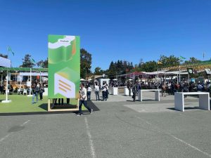 GoogleIO Conference